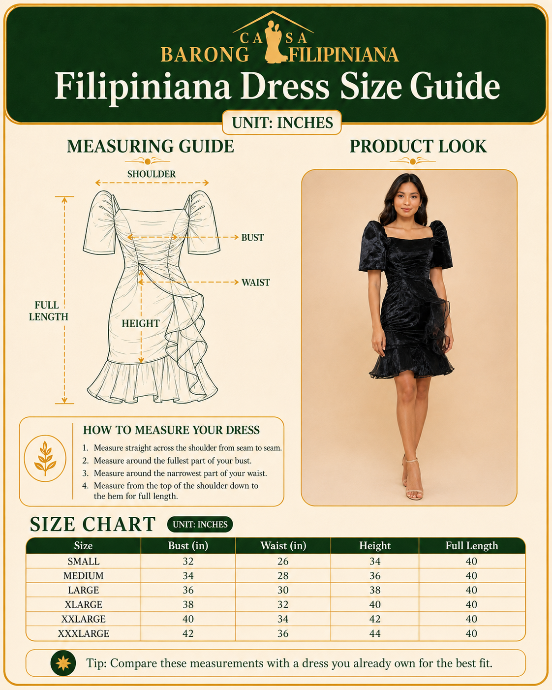 Mayari Filipiniana Mini dress in Organza Black
