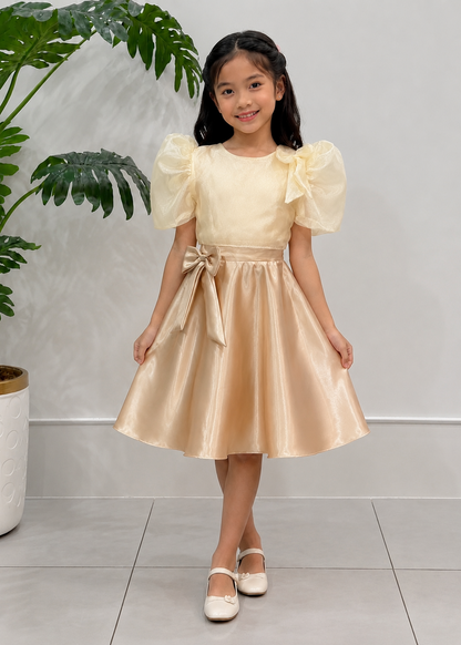 Anna Filipiniana Kimona and Skirt Terno Gold