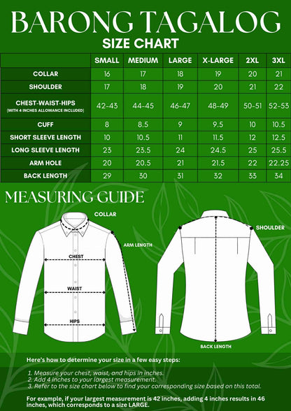 Barong Tagalog Crafted from Organza with Ethnic Detailing - BR236