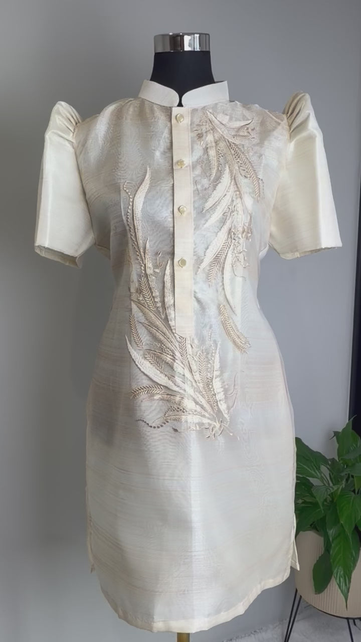 Bini Filipiniana Barong Dress in Piña Organza